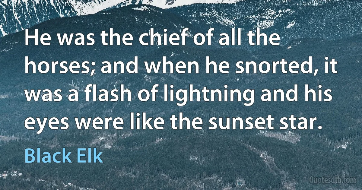 He was the chief of all the horses; and when he snorted, it was a flash of lightning and his eyes were like the sunset star. (Black Elk)