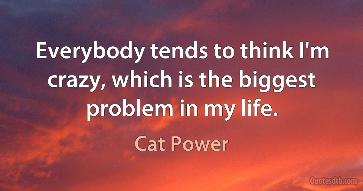 Everybody tends to think I'm crazy, which is the biggest problem in my life. (Cat Power)