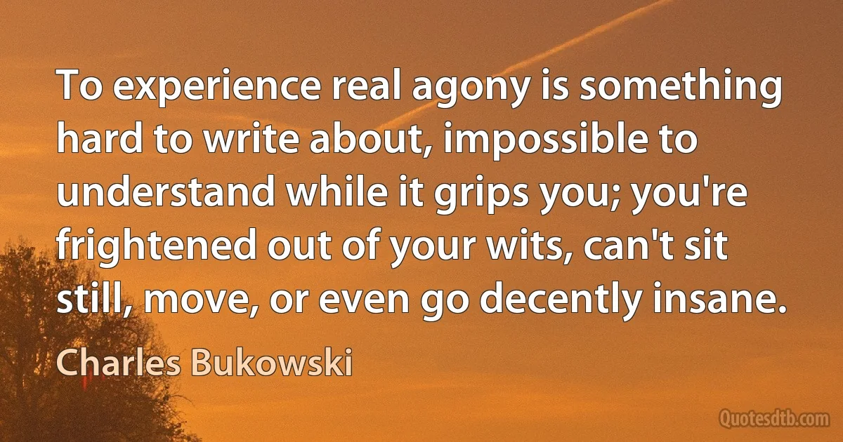 To experience real agony is something hard to write about, impossible to understand while it grips you; you're frightened out of your wits, can't sit still, move, or even go decently insane. (Charles Bukowski)