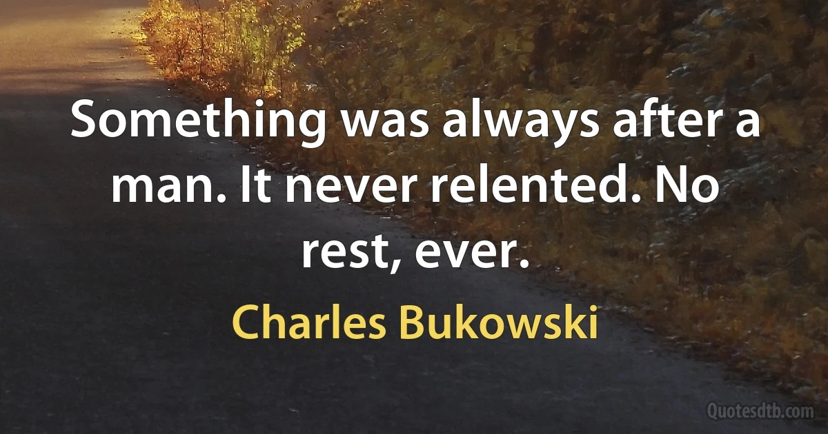 Something was always after a man. It never relented. No rest, ever. (Charles Bukowski)