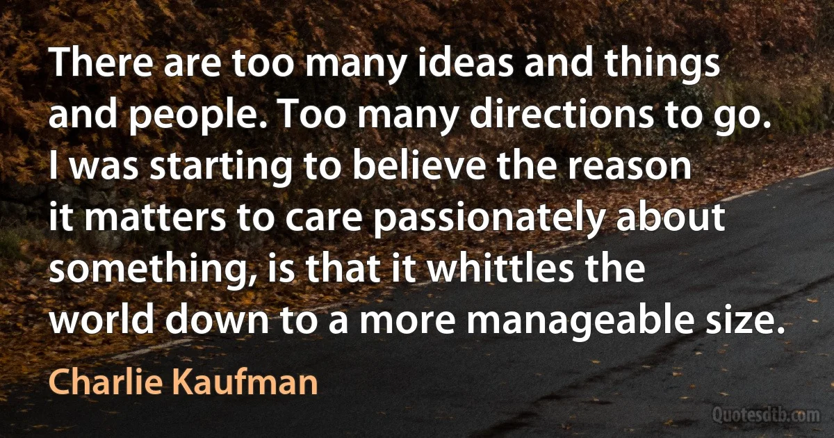 There are too many ideas and things and people. Too many directions to go. I was starting to believe the reason it matters to care passionately about something, is that it whittles the world down to a more manageable size. (Charlie Kaufman)