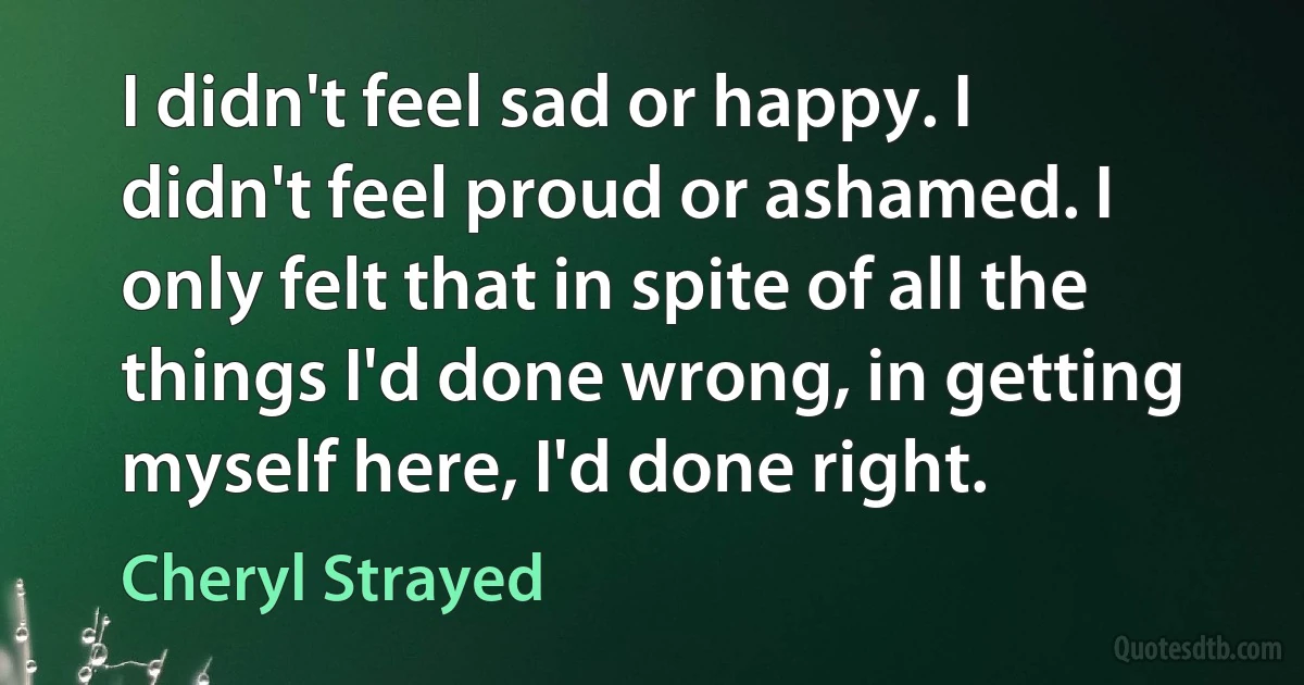 I didn't feel sad or happy. I didn't feel proud or ashamed. I only felt that in spite of all the things I'd done wrong, in getting myself here, I'd done right. (Cheryl Strayed)