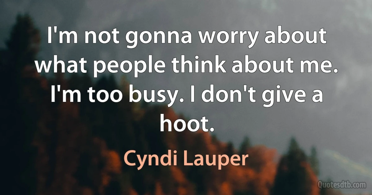 I'm not gonna worry about what people think about me. I'm too busy. I don't give a hoot. (Cyndi Lauper)