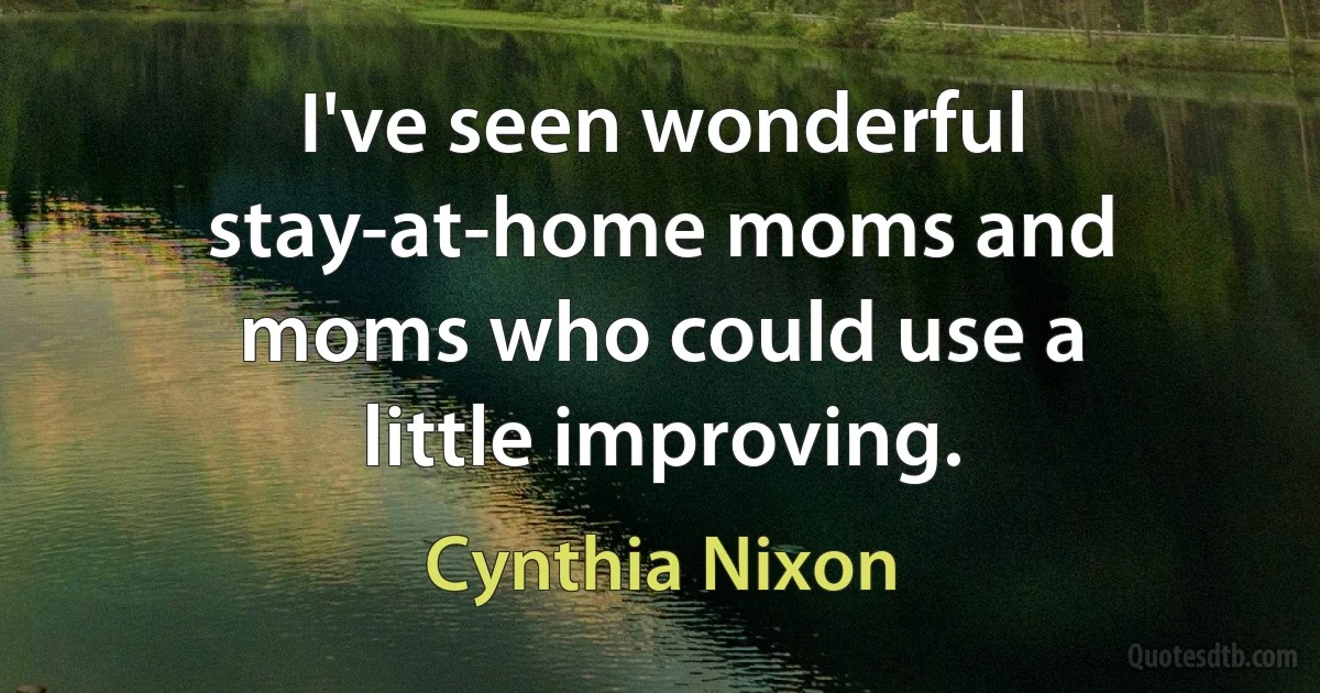 I've seen wonderful stay-at-home moms and moms who could use a little improving. (Cynthia Nixon)