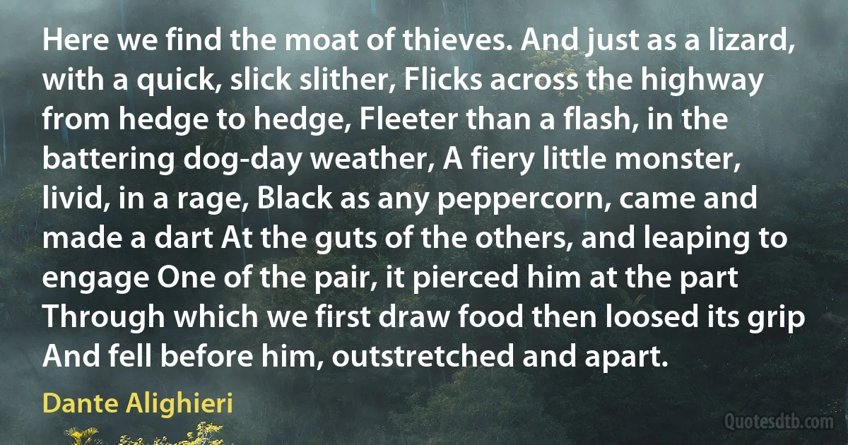 Here we find the moat of thieves. And just as a lizard, with a quick, slick slither, Flicks across the highway from hedge to hedge, Fleeter than a flash, in the battering dog-day weather, A fiery little monster, livid, in a rage, Black as any peppercorn, came and made a dart At the guts of the others, and leaping to engage One of the pair, it pierced him at the part Through which we first draw food then loosed its grip And fell before him, outstretched and apart. (Dante Alighieri)