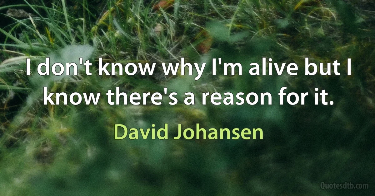 I don't know why I'm alive but I know there's a reason for it. (David Johansen)