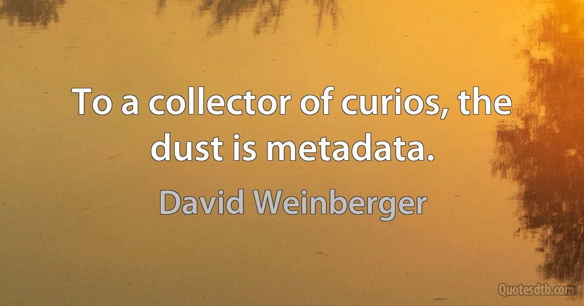 To a collector of curios, the dust is metadata. (David Weinberger)