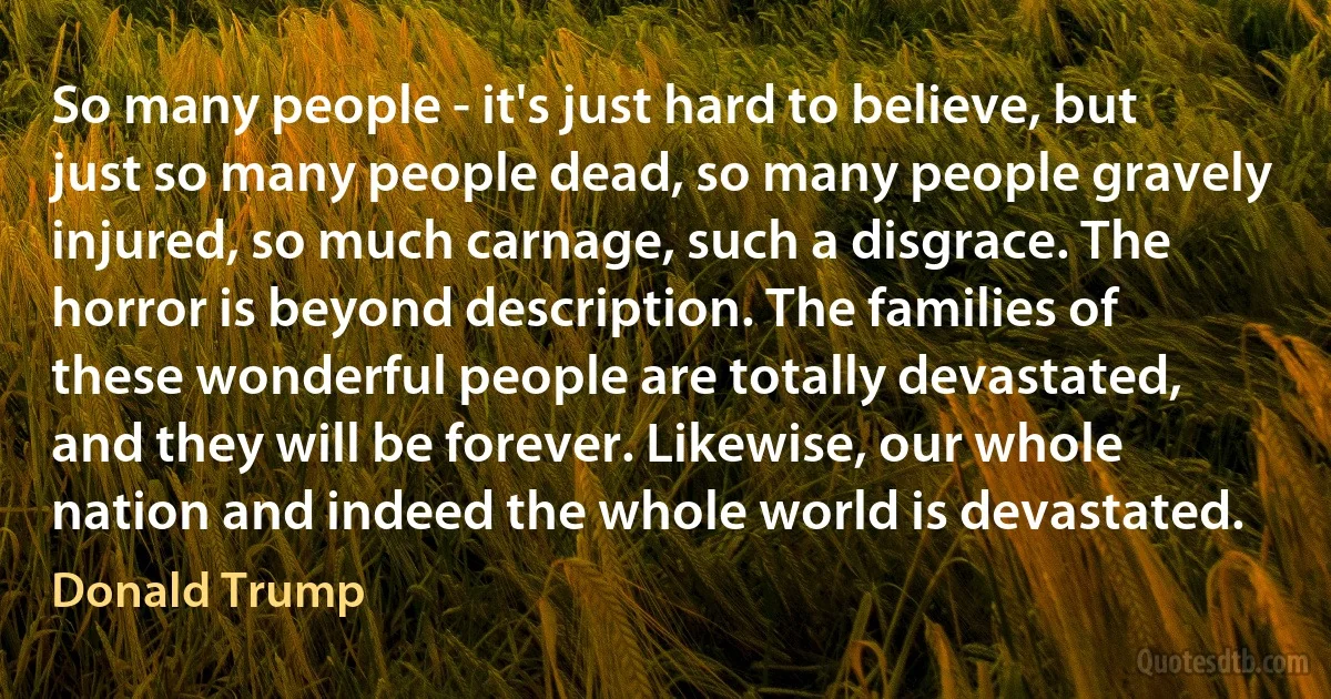 So many people - it's just hard to believe, but just so many people dead, so many people gravely injured, so much carnage, such a disgrace. The horror is beyond description. The families of these wonderful people are totally devastated, and they will be forever. Likewise, our whole nation and indeed the whole world is devastated. (Donald Trump)