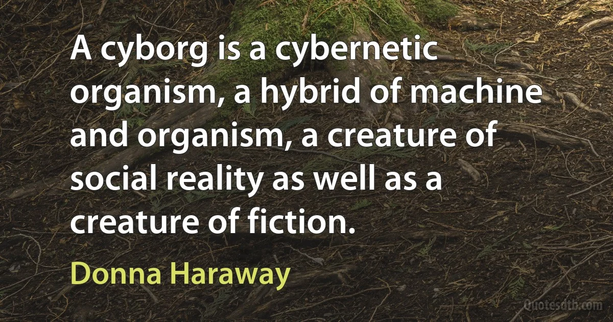 A cyborg is a cybernetic organism, a hybrid of machine and organism, a creature of social reality as well as a creature of fiction. (Donna Haraway)