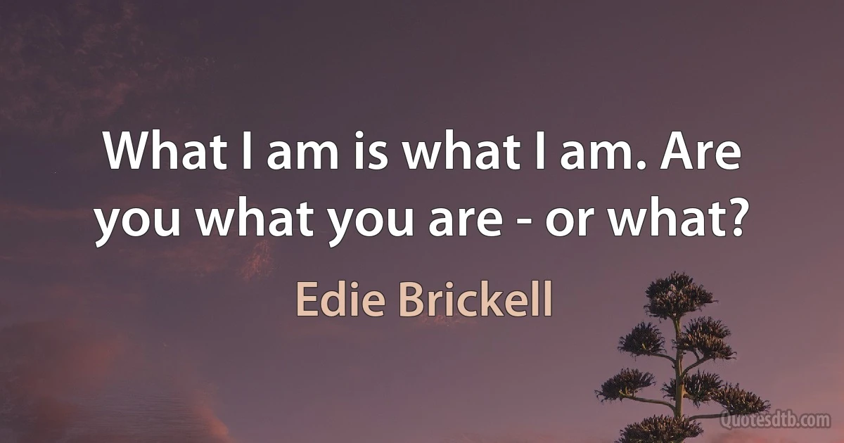 What I am is what I am. Are you what you are - or what? (Edie Brickell)