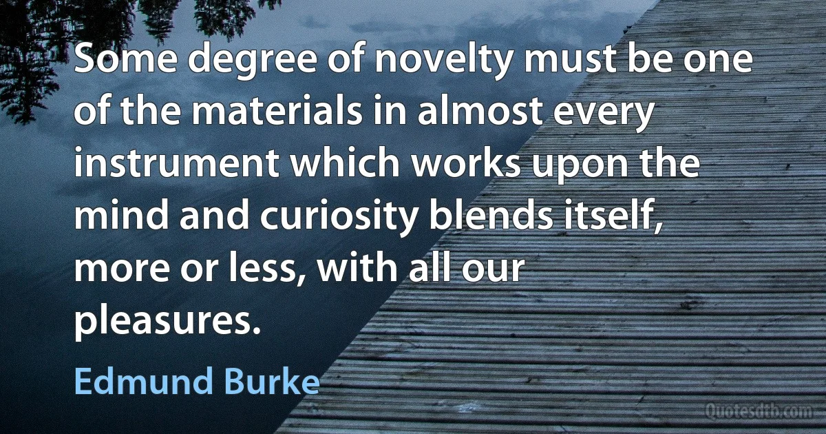 Some degree of novelty must be one of the materials in almost every instrument which works upon the mind and curiosity blends itself, more or less, with all our pleasures. (Edmund Burke)