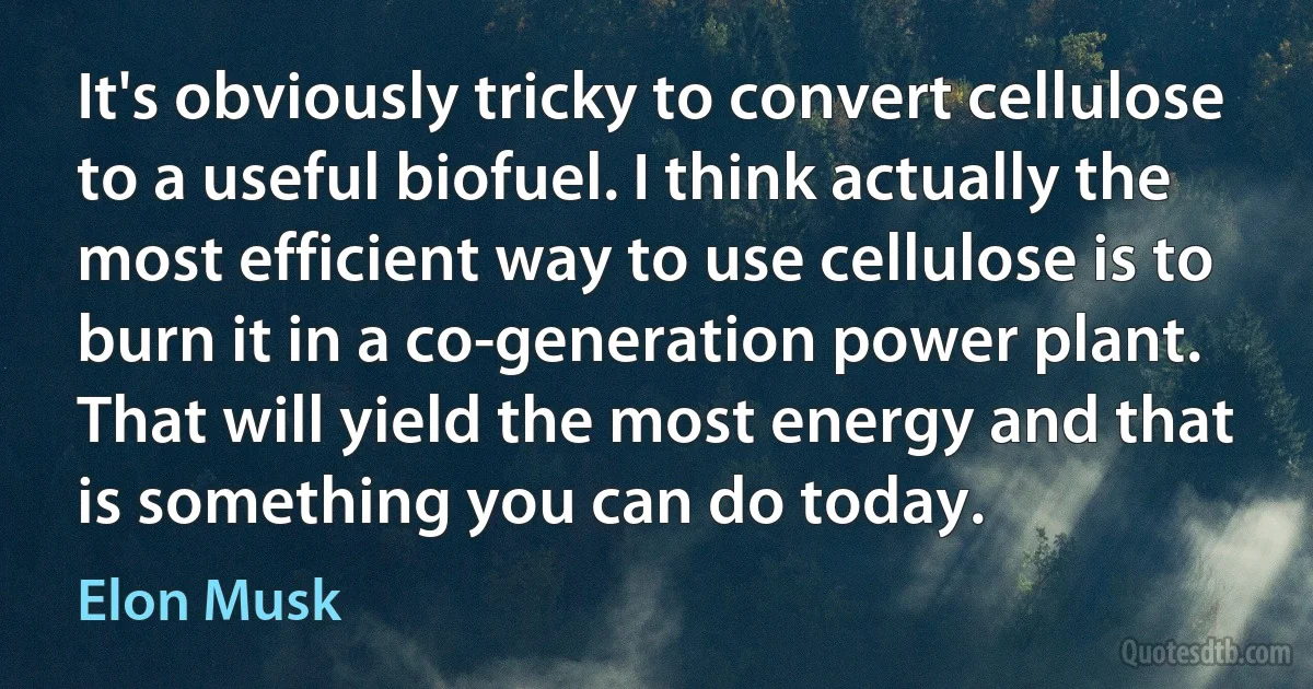 It's obviously tricky to convert cellulose to a useful biofuel. I think actually the most efficient way to use cellulose is to burn it in a co-generation power plant. That will yield the most energy and that is something you can do today. (Elon Musk)