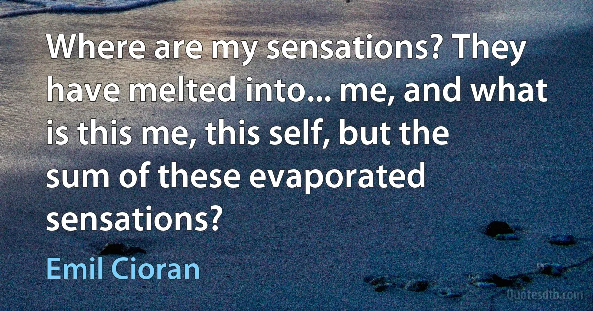 Where are my sensations? They have melted into... me, and what is this me, this self, but the sum of these evaporated sensations? (Emil Cioran)