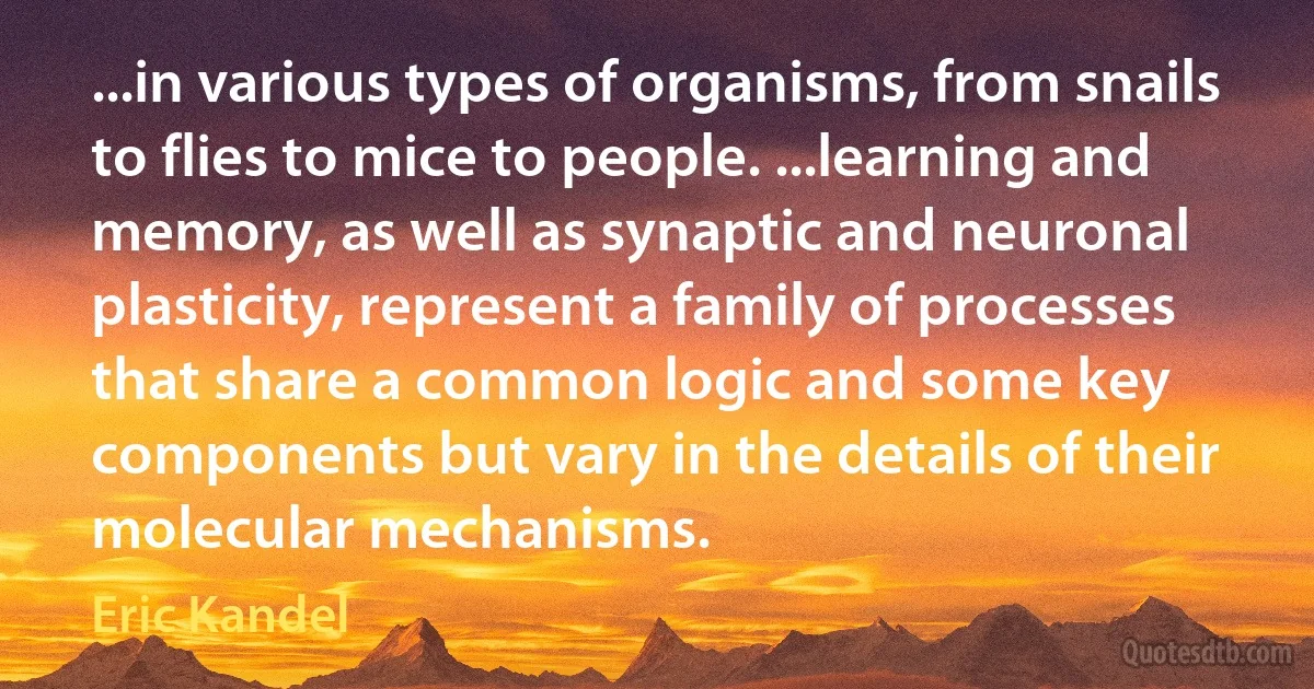 ...in various types of organisms, from snails to flies to mice to people. ...learning and memory, as well as synaptic and neuronal plasticity, represent a family of processes that share a common logic and some key components but vary in the details of their molecular mechanisms. (Eric Kandel)