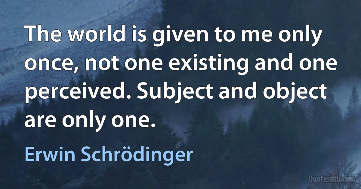 The world is given to me only once, not one existing and one perceived. Subject and object are only one. (Erwin Schrödinger)