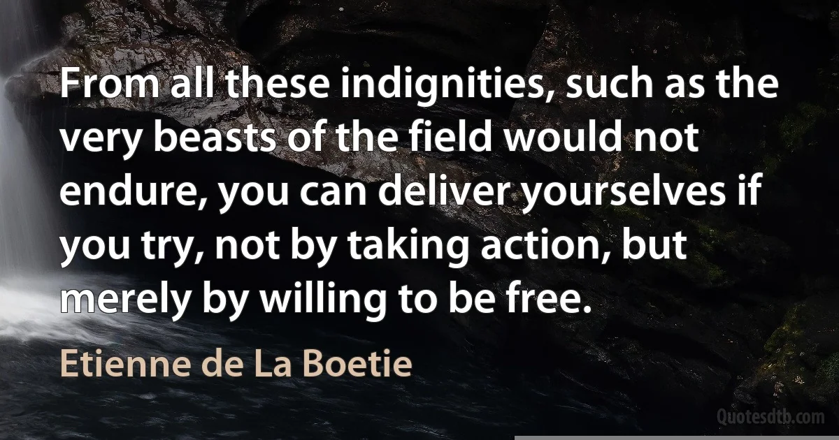 From all these indignities, such as the very beasts of the field would not endure, you can deliver yourselves if you try, not by taking action, but merely by willing to be free. (Etienne de La Boetie)