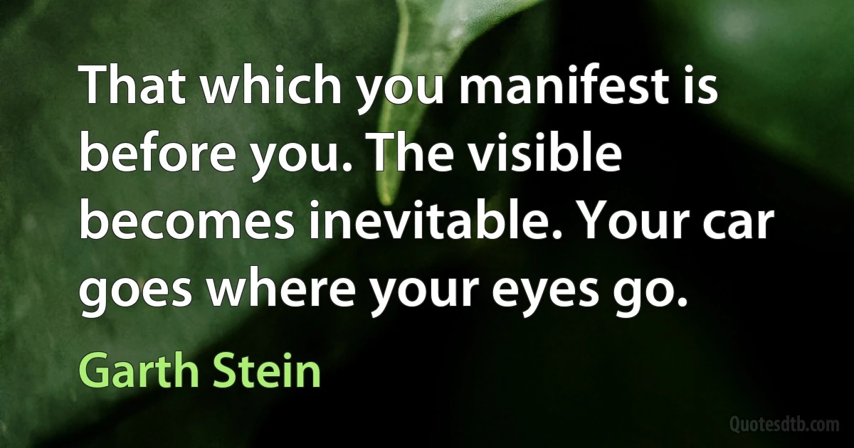 That which you manifest is before you. The visible becomes inevitable. Your car goes where your eyes go. (Garth Stein)