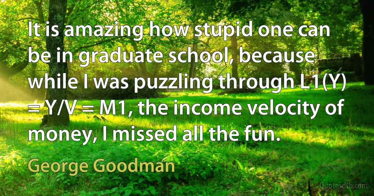 It is amazing how stupid one can be in graduate school, because while I was puzzling through L1(Y) = Y/V = M1, the income velocity of money, I missed all the fun. (George Goodman)