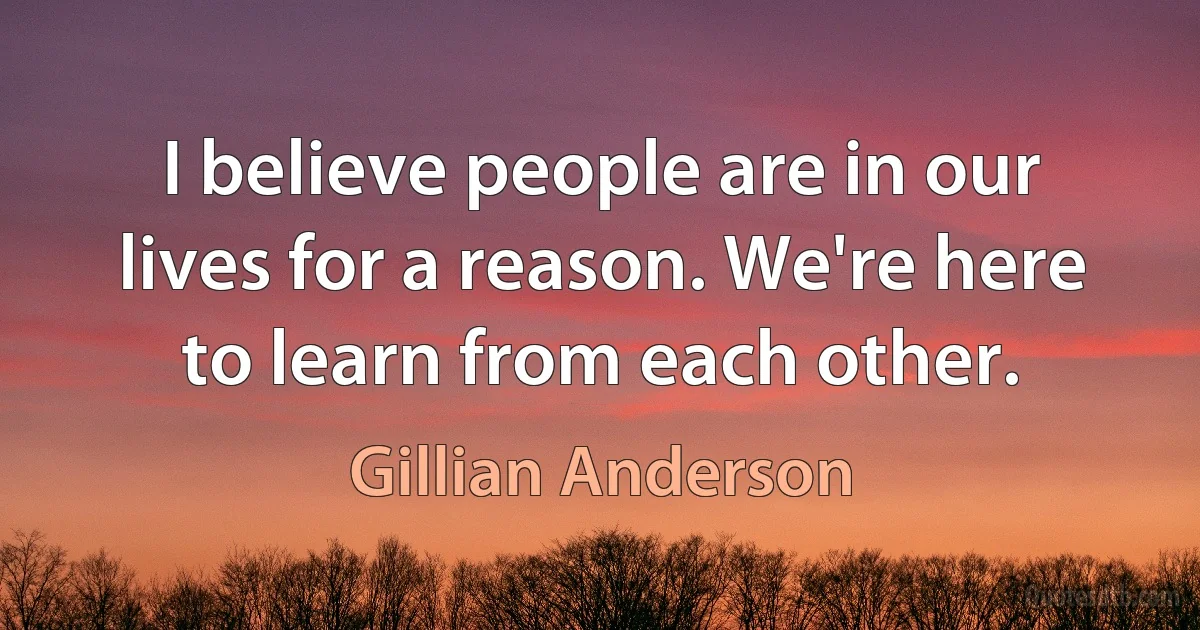 I believe people are in our lives for a reason. We're here to learn from each other. (Gillian Anderson)