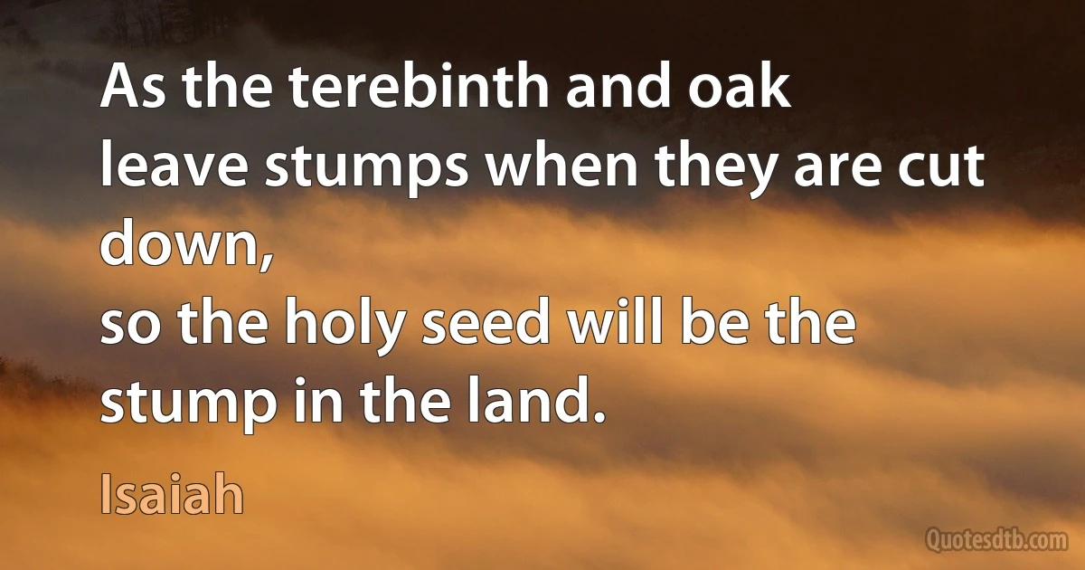 As the terebinth and oak
leave stumps when they are cut down,
so the holy seed will be the stump in the land. (Isaiah)