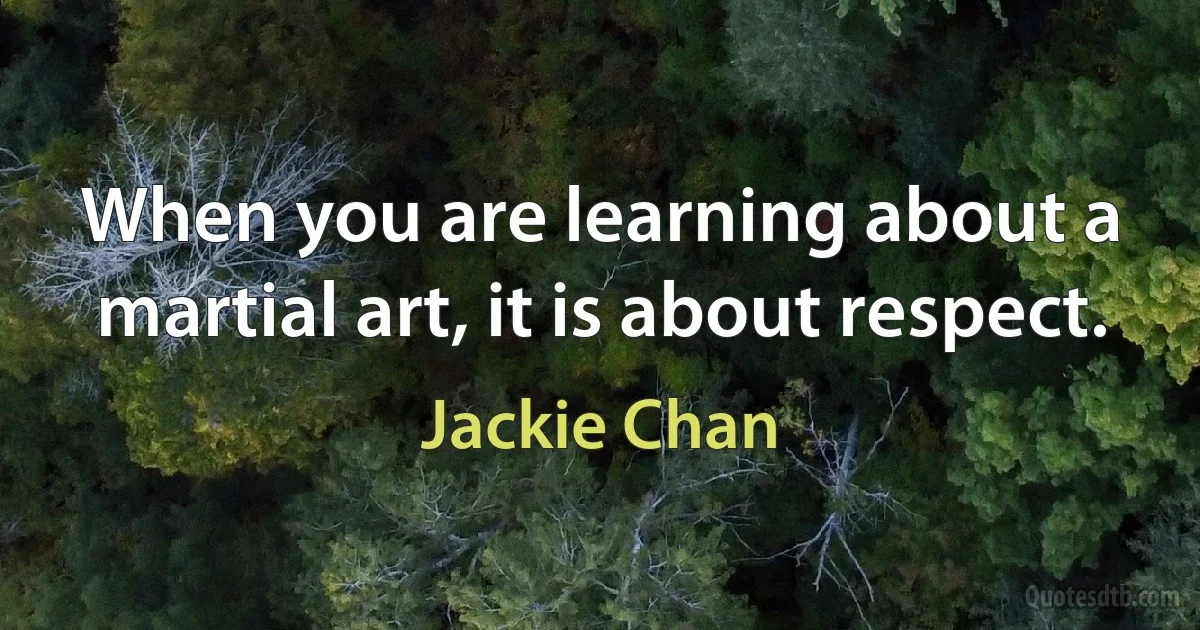 When you are learning about a martial art, it is about respect. (Jackie Chan)