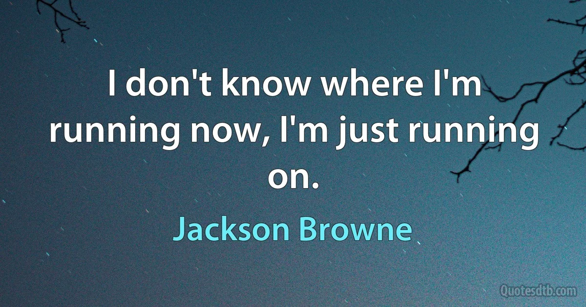 I don't know where I'm running now, I'm just running on. (Jackson Browne)