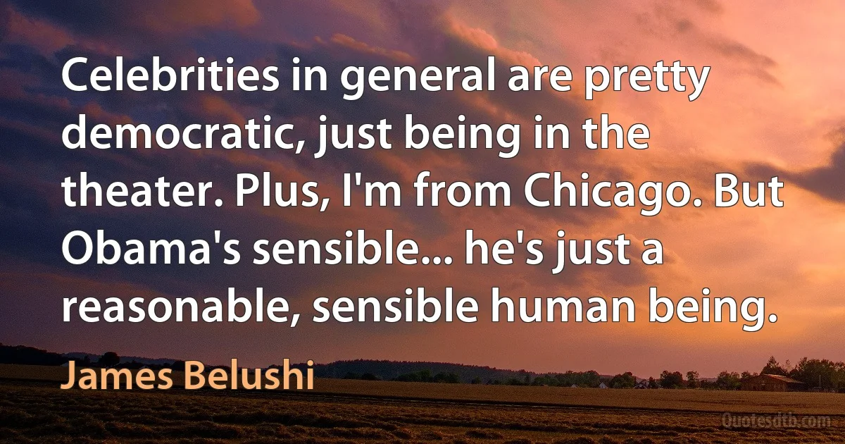 Celebrities in general are pretty democratic, just being in the theater. Plus, I'm from Chicago. But Obama's sensible... he's just a reasonable, sensible human being. (James Belushi)