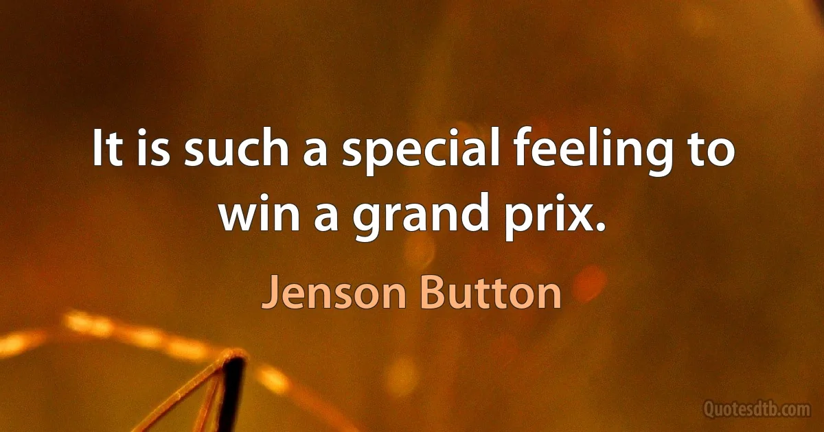 It is such a special feeling to win a grand prix. (Jenson Button)