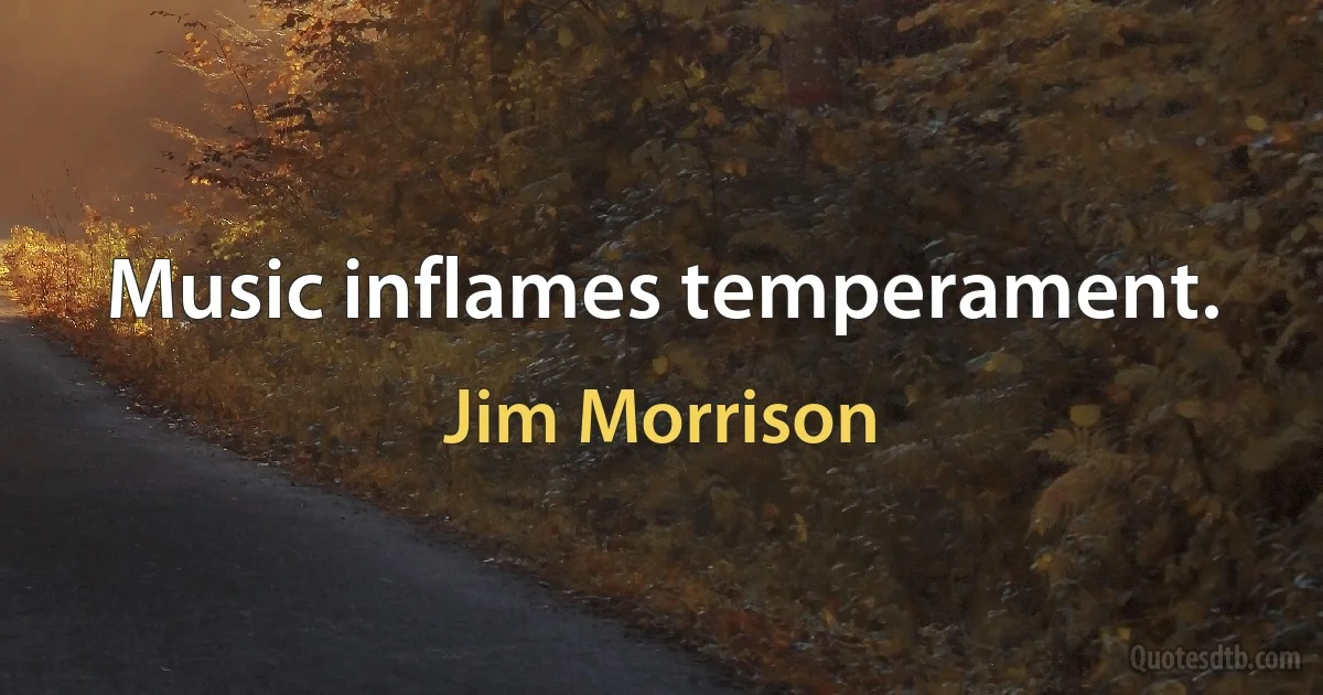 Music inflames temperament. (Jim Morrison)