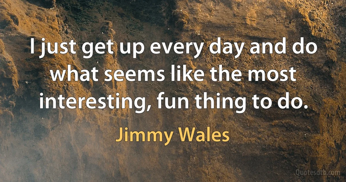 I just get up every day and do what seems like the most interesting, fun thing to do. (Jimmy Wales)