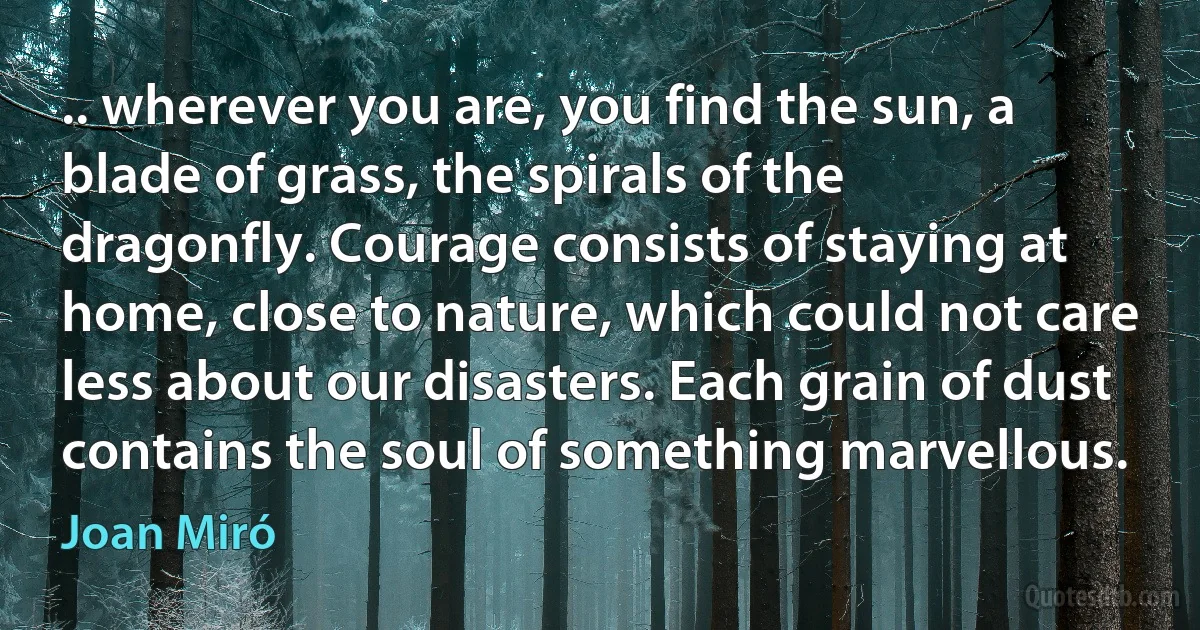 .. wherever you are, you find the sun, a blade of grass, the spirals of the dragonfly. Courage consists of staying at home, close to nature, which could not care less about our disasters. Each grain of dust contains the soul of something marvellous. (Joan Miró)