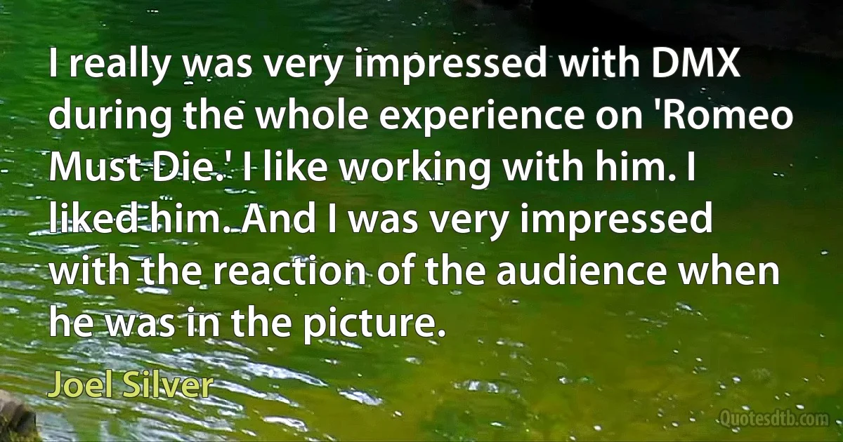 I really was very impressed with DMX during the whole experience on 'Romeo Must Die.' I like working with him. I liked him. And I was very impressed with the reaction of the audience when he was in the picture. (Joel Silver)