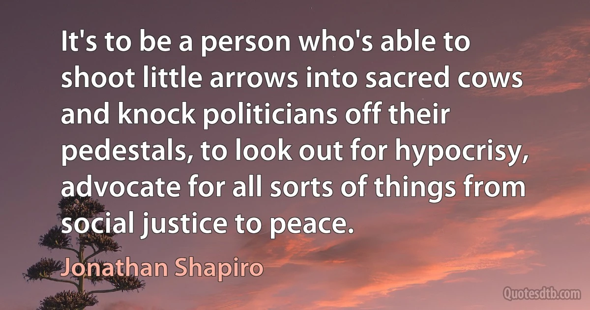 It's to be a person who's able to shoot little arrows into sacred cows and knock politicians off their pedestals, to look out for hypocrisy, advocate for all sorts of things from social justice to peace. (Jonathan Shapiro)