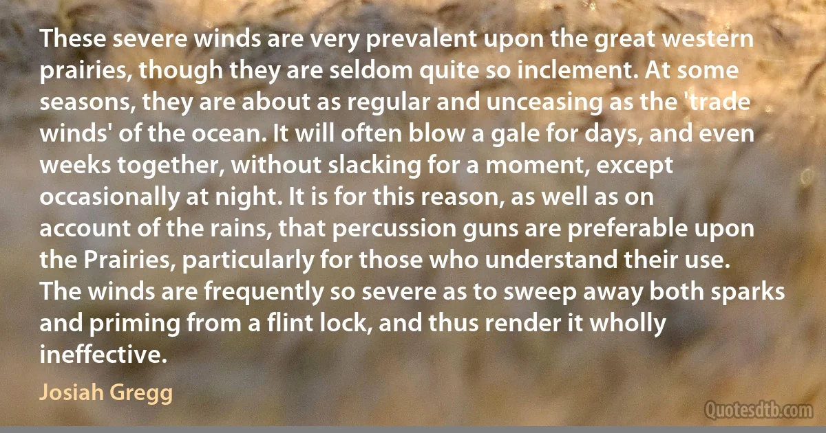 These severe winds are very prevalent upon the great western prairies, though they are seldom quite so inclement. At some seasons, they are about as regular and unceasing as the 'trade winds' of the ocean. It will often blow a gale for days, and even weeks together, without slacking for a moment, except occasionally at night. It is for this reason, as well as on account of the rains, that percussion guns are preferable upon the Prairies, particularly for those who understand their use. The winds are frequently so severe as to sweep away both sparks and priming from a flint lock, and thus render it wholly ineffective. (Josiah Gregg)