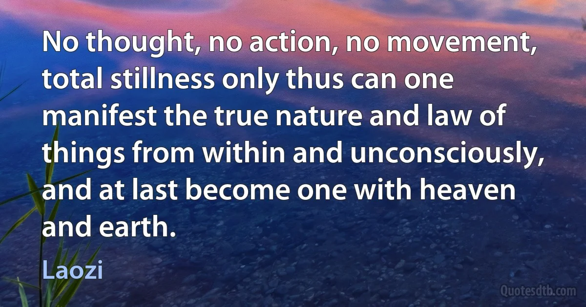 No thought, no action, no movement, total stillness only thus can one manifest the true nature and law of things from within and unconsciously, and at last become one with heaven and earth. (Laozi)