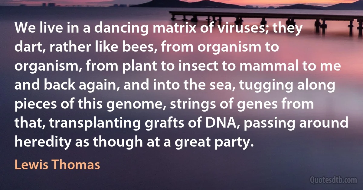 We live in a dancing matrix of viruses; they dart, rather like bees, from organism to organism, from plant to insect to mammal to me and back again, and into the sea, tugging along pieces of this genome, strings of genes from that, transplanting grafts of DNA, passing around heredity as though at a great party. (Lewis Thomas)