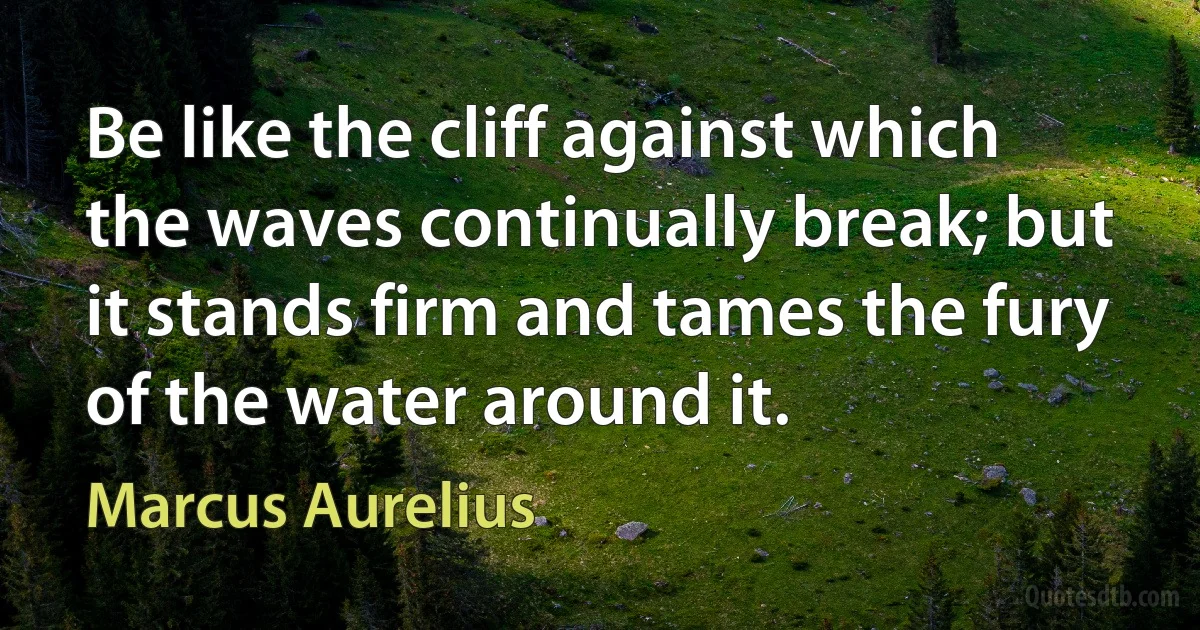 Be like the cliff against which the waves continually break; but it stands firm and tames the fury of the water around it. (Marcus Aurelius)