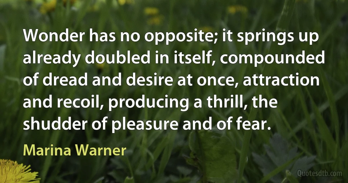 Wonder has no opposite; it springs up already doubled in itself, compounded of dread and desire at once, attraction and recoil, producing a thrill, the shudder of pleasure and of fear. (Marina Warner)