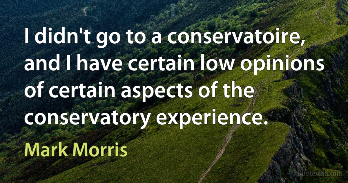 I didn't go to a conservatoire, and I have certain low opinions of certain aspects of the conservatory experience. (Mark Morris)