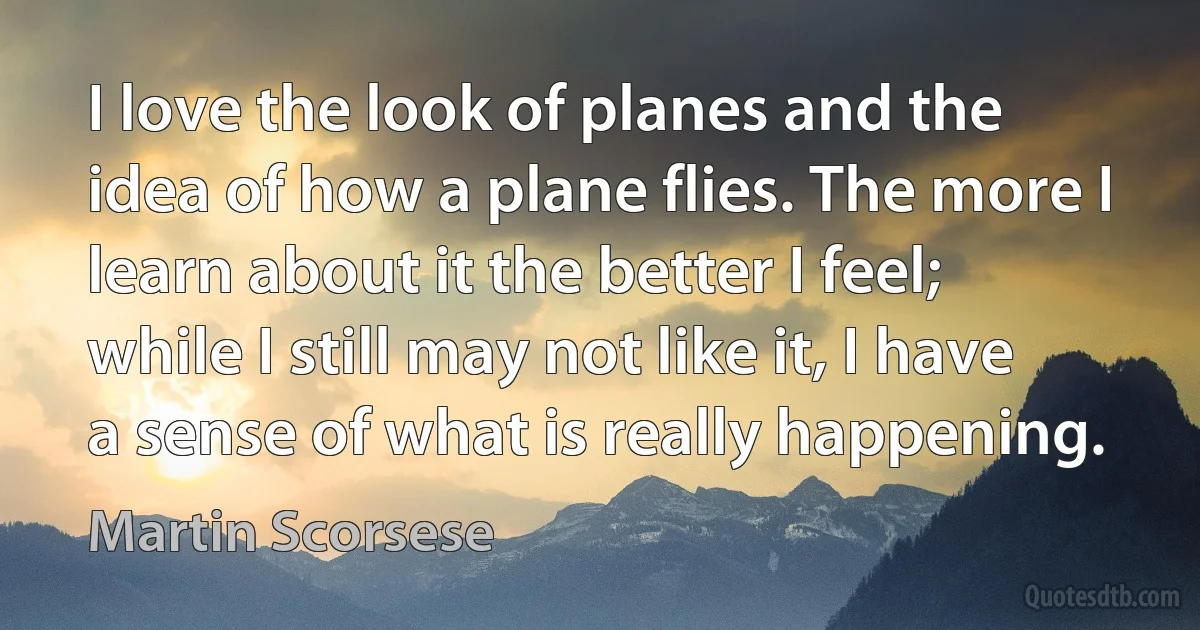 I love the look of planes and the idea of how a plane flies. The more I learn about it the better I feel; while I still may not like it, I have a sense of what is really happening. (Martin Scorsese)