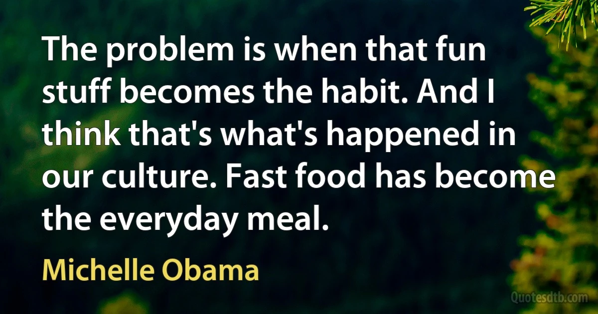 The problem is when that fun stuff becomes the habit. And I think that's what's happened in our culture. Fast food has become the everyday meal. (Michelle Obama)