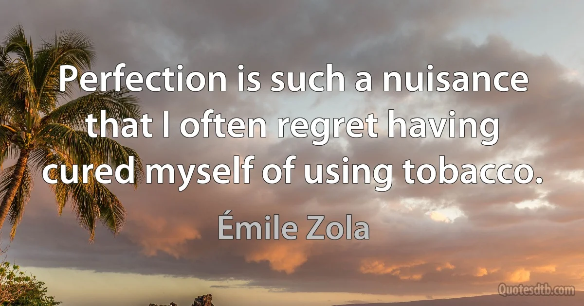 Perfection is such a nuisance that I often regret having cured myself of using tobacco. (Émile Zola)