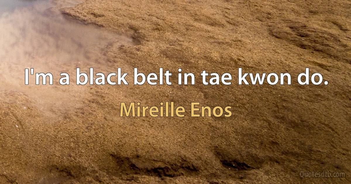 I'm a black belt in tae kwon do. (Mireille Enos)