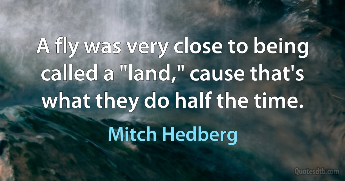 A fly was very close to being called a "land," cause that's what they do half the time. (Mitch Hedberg)