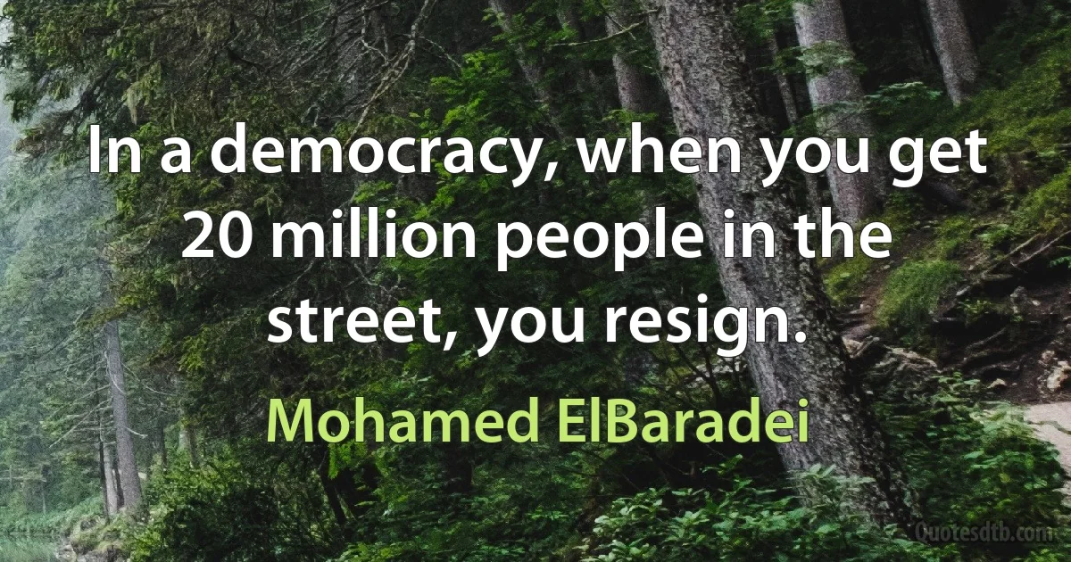 In a democracy, when you get 20 million people in the street, you resign. (Mohamed ElBaradei)