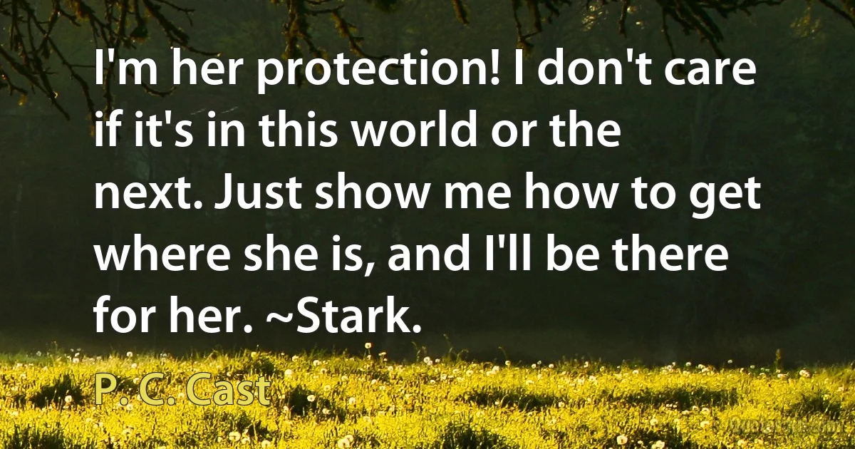 I'm her protection! I don't care if it's in this world or the next. Just show me how to get where she is, and I'll be there for her. ~Stark. (P. C. Cast)