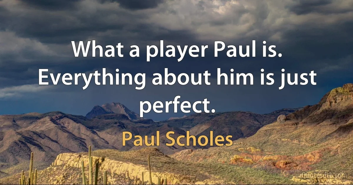 What a player Paul is. Everything about him is just perfect. (Paul Scholes)