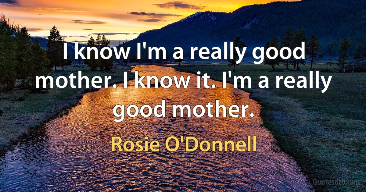 I know I'm a really good mother. I know it. I'm a really good mother. (Rosie O'Donnell)