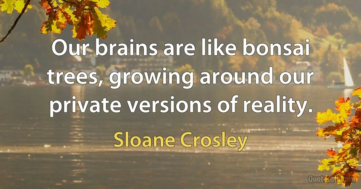 Our brains are like bonsai trees, growing around our private versions of reality. (Sloane Crosley)