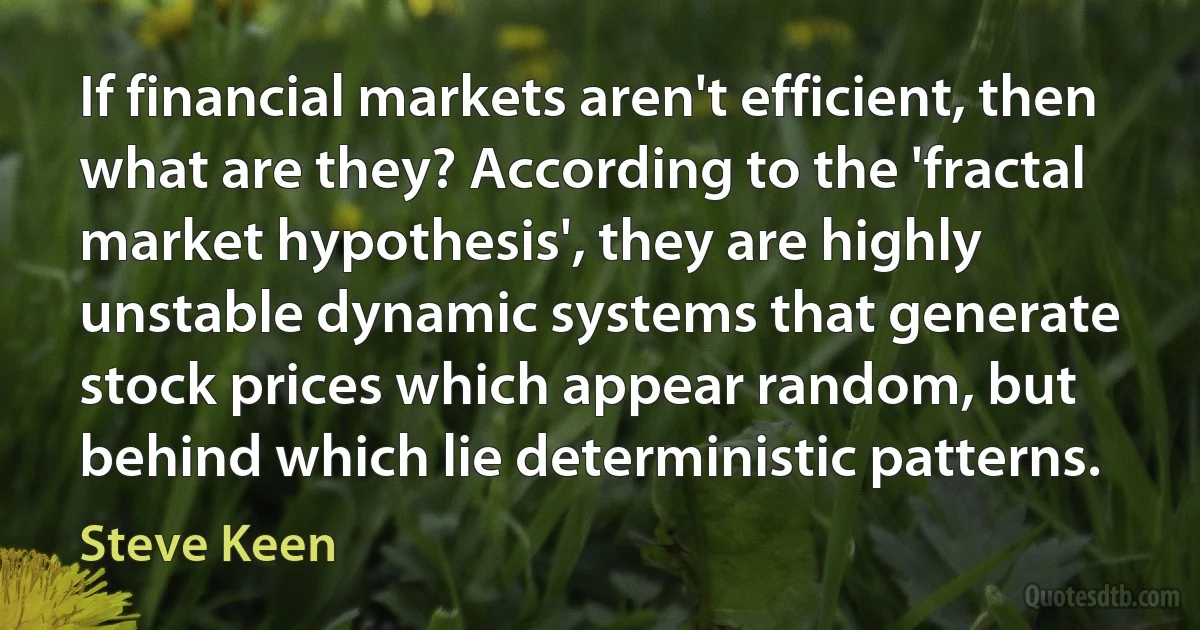 If financial markets aren't efficient, then what are they? According to the 'fractal market hypothesis', they are highly unstable dynamic systems that generate stock prices which appear random, but behind which lie deterministic patterns. (Steve Keen)